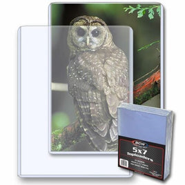 BCW 5x7 - Topload Holder